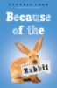Because_of_the_rabbit