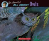 All_about_owls