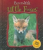 Little_foxes