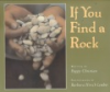 If_you_find_a_rock