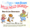 The_Berenstain_Bears_and_the_wild__wild_honey