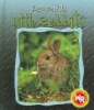 Little_rabbits