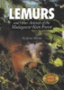Lemurs_and_other_animals_of_the_Madagascar_rain_forest
