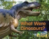 What_were_dinosaurs_