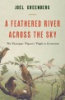 A_feathered_river_across_the_sky