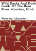 Wild_ducks_and_duck_foods_of_the_Bear_River_marshes__Utah