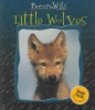 Little_wolves