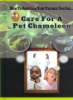 Care_for_a_pet_chameleon