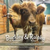 Buckley_the_highland_cow_and_Ralphy_the_goat