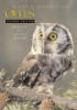 North_American_owls