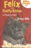 Felix_the_fluffy_kitten