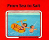 From_sea_to_salt