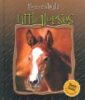 Little_horses