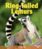 Ring-tailed_lemurs