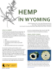 Hemp_in_Wyoming