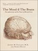 The_Mind___the_Brain