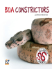 Boa_Constrictors