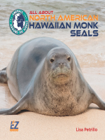 All_About_North_American_Hawaiian_Monk_Seals
