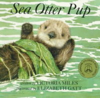 Sea_otter_pup