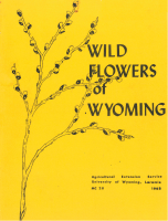 Wild_flowers_of_Wyoming