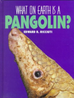 What_on_earth_is_a_pangolin