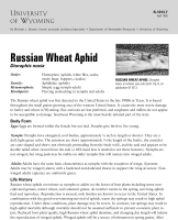 Russian_wheat_aphid_and_its_control