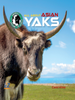 All_About_Asian_Yaks