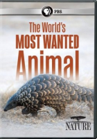 The_world_s_most_wanted_animal