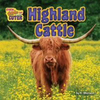 Highland_cattle