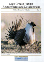 Sage_grouse_habitat_requirements_and_development