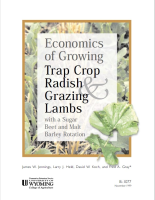 Economics_of_growing_trap_crop_radish___grazing_lambs_with_a_sugar_beet_and_malt_barley_rotation