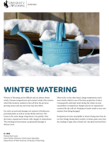 Winter_watering