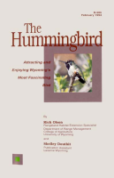 Attracting_and_enjoying_Wyoming_s_most_fascinating_bird__the_hummingbird