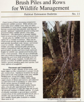Brush_piles_and_rows_for_wildlife_management