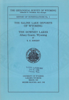 The_saline_lake_deposits_of_Wyoming
