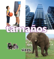Tamaanos__