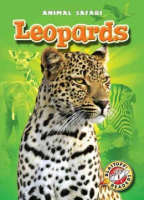 Leopards