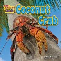 Coconut_crab