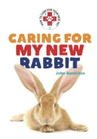 Caring_for_my_new_rabbit