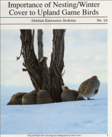 Importance_of_nesting_winter_cover_to_upland_game_birds