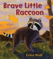 Brave_little_raccoon