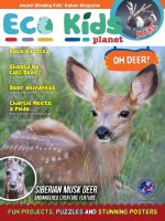 Eco_Kids_Planet_Magazine