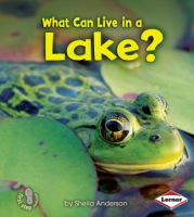 What_can_live_in_a_lake_