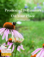 Promoting_pollinators_on_your_place
