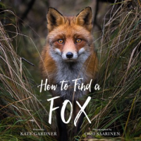 How_to_find_a_fox