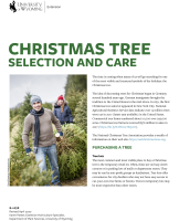 Christmas_tree_selection_and_care