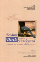 Feeding_birds_in_your_backyard