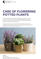 Care_of_flowering_potted_plants