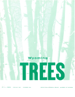 Wyoming_trees
